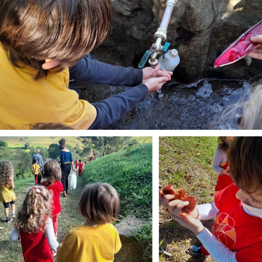 Crianças alimentando animais