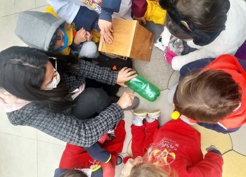 Pesquisa sobre as abelhas