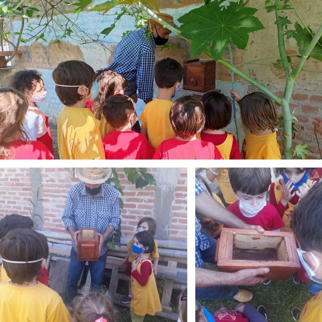 Crianças observando